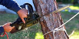 Best Utility Line Clearance  in Lake Park, NC